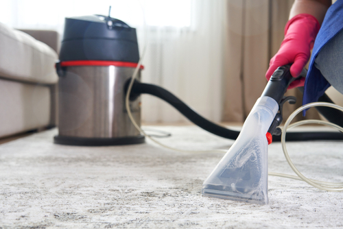Importance Of Carpet Disinfection Service