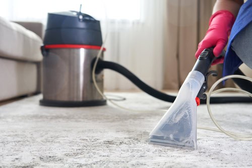 Deep cleaning with professional steam disinfectant equipment for home sanitation services.