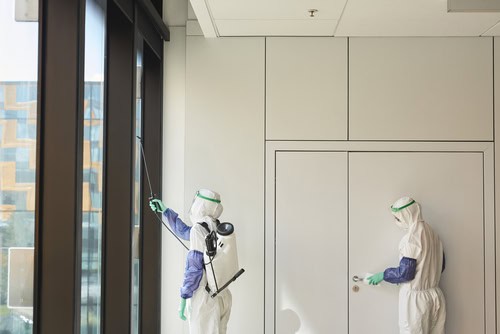 Post-Application Procedures